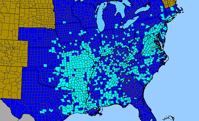 The range of Perilla frutescens